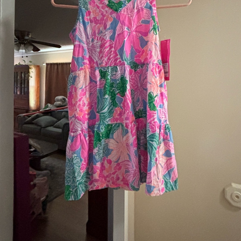 Kids Lilly Floral Print dress in Pink and Green